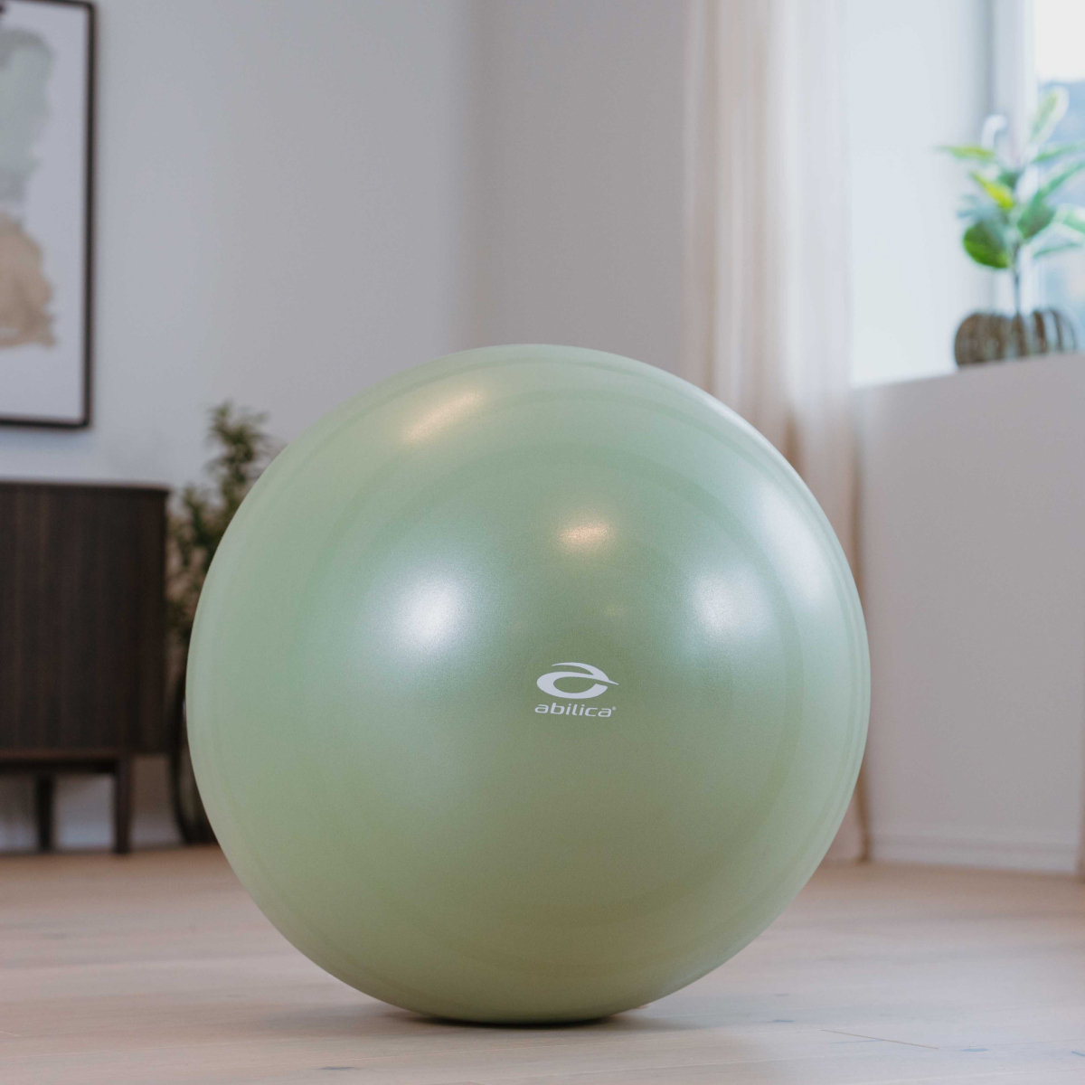 Abilica FitnessBall 65 cm - Image 3