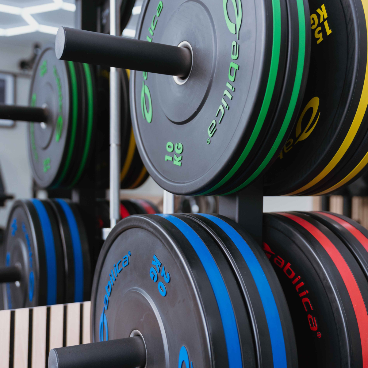 Abilica WallStorage WeightPlates - Image 5