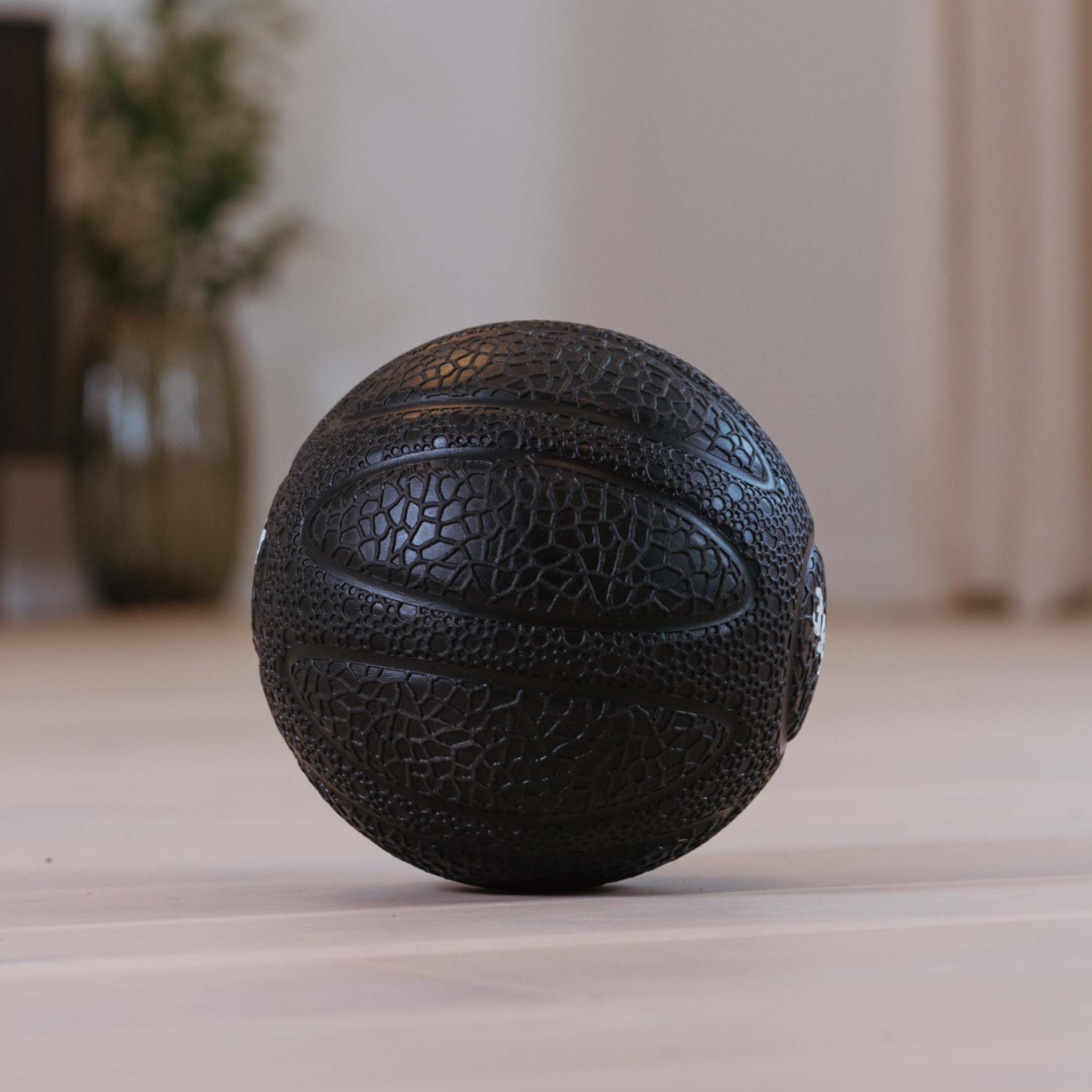 Abilica MedicineBall 2-10 kg - Image 4